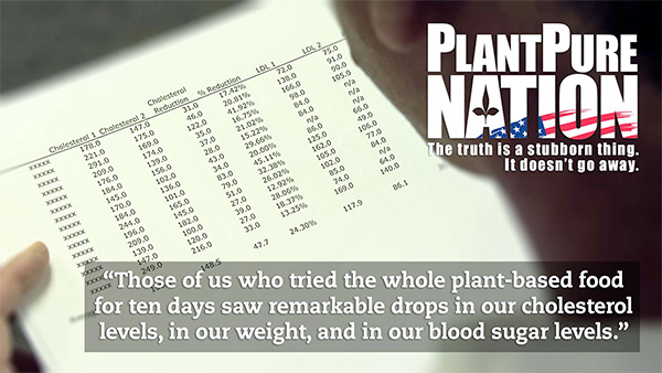 Remarkable drops in cholesterol levels, weight, and blood sugar levels where evident after implementing the PlantPure Philosophy.